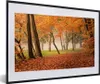 MuchoWow® Gerahmtes Poster Blätter - Herbst - Wald 60x40 cm Produktbild-Vorschau 1