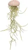 Seeigel Gehäuse Rosa, ca. 4cm, | Echinometra mathaei Produktbild-Vorschau 1