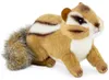 Carl Dick scoiattolo 17 cm. Peluche, peluche, peluche 3706 Anteprima dell’immagine prodotto 1