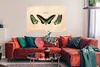 MuchoWow® Poster Schmetterling - Tier - Insekt 120x80 cm - Produktbild-Vorschau 2