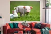 MuchoWow® Poster Ferkel - Kaninchen - Tiere 180x120 cm - Produktbild-Vorschau 2