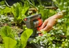 Gardena 13050-20 - Schwingender Wassersprinkler - Schwarz - Produktbild-Vorschau 5