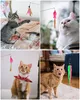 Katzenspielzeug, Feder-Katzenspielzeug mit 2-teiliger Produktbild-Vorschau 3