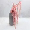 Stabilisiertes Amaranth - Amaranth - Rosa Produktbild-Vorschau 2