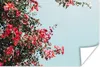MuchoWow® Poster Blumen - Luft - Rosa 180x120 cm - Produktbild-Vorschau 1