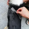 Set de ciseaux Ciseaux pour chiens avec peigne à pointe Voir les images du produit 11