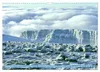 Entdeckungen am Kilimandscharo (Wandkalender 2027 DIN A3 Produktbild-Vorschau 13