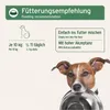 AniForte Barf Futteröl für Hunde 500ml– Natürliches, Produktbild-Vorschau 4