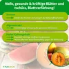 Purgrün -Melonen-Dünger 1 Liter Produktbild-Vorschau 3