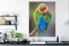 MuchoWow® Poster Zwergpapagei waschen 90x120 cm - Produktbild-Vorschau 4