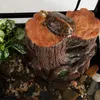 Repti-Zoo Albero filtro per tartarughe - isola e filtro Anteprima dell’immagine prodotto 4