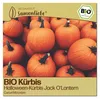 Samenliebe  Kürbis Samen | Jack O'Lantern - groß - Produktbild-Vorschau 1