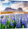 Bilder auf glas - Berge Wiese Blumen - 60x60cm - Glasbilder Produktbild-Vorschau 1
