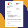 Vitamin B2 – 240 Kapseln (8 Monate Vorrat) – Riboflavin Produktbild-Vorschau 7