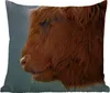 MuchoWow® Outdoor Kissen - Schottische Hochlandrind - Tiere Produktbild-Vorschau 1