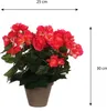Mica Decorations Begonien Kunstpflanze im Blumentopf Stan - Produktbild-Vorschau 6