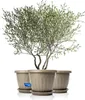 BigDean 3x Blumentopf mit Untersetzer rund ø50xH38 cm Produktbild-Vorschau 1