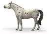 Cavallo Schleich Knabstupper castrone Anteprima dell’immagine prodotto 4