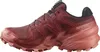 SALOMON SHOES SPEEDCROSS 6 GTX W Rum Ra/Barn R/C Rum Produktbild-Vorschau 2