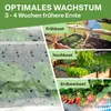 TTL GARDEN PE Frühbeetfolie 10x2m gelocht 20g/m² Produktbild-Vorschau 5