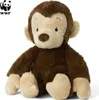 A plush toy monkey sitting on a white background. Produktbild-Vorschau