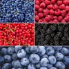 Plants by Frank | Früchte Oase  Obstpflanzen Mix | Produktbild-Vorschau 2