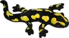 A plush toy salamander with black and yellow spots on a white background. Voir les images du produit