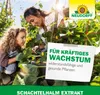 Neudorff Schachtelhalm Extrakt 265 Produktbild-Vorschau 7