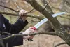 A person is pruning a tree branch with a saw. Anteprima dell’immagine prodotto