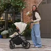 Lionelo Mika Plus passeggino universale fino a 22 kg Alta Anteprima dell’immagine prodotto 2