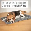 KaraLuna Hundematte 80 x 55 cm für daheim & unterwegs I Produktbild-Vorschau 2