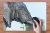 MuchoWow® Schreibtischunterlage Elefant - Tiere - Grau - Produktbild-Vorschau 3