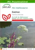 SAFLAX - Heilpflanzen - Baldrian - 200 Samen - Mit Produktbild-Vorschau 1