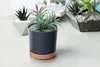 Prosperplast s.r.o. Vaso da fiori TUBO PM 10,8 cm, Anteprima dell’immagine prodotto 11