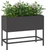 vidaXL Fioriera da giardino a letto rialzato nera 60 x 26 x Anteprima dell’immagine prodotto 3