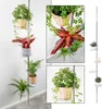 Étagère à fleurs télescopique avec 4 étagères - extensible Voir les images du produit 2