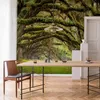 Vlies Fototapete - Tree embrace 300x210 cm Landschaften Produktbild-Vorschau 1