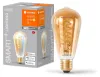 Ampoule LEDVANCE SMART+ WIFI, teinte dorée, 8W, 650lm, Voir les images du produit 5