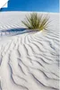 ARTland Poster Dünen White Sands Größe: 60x90 cm Produktbild-Vorschau 1