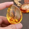 Skorpion w bursztynie imitacja bursztynu z owadem Podgląd zdjęcia produktu 2