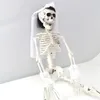 40 cm Skelett Figur mit Gelenken für Halloween Dekoration Produktbild-Vorschau 7