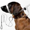 Laisse plate anti-traction pour chien avec appui-museau Voir les images du produit 1
