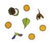 Eduplay Blätter Stempelset - kreative Hobby-Stempel 10 Produktbild-Vorschau 4