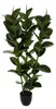 Künstlicher Gummibaum im Topf, Ø 40 × 120 cm Produktbild-Vorschau 1