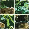 Wanduhr - Rund - Glasuhr - Dschungel Leopard Panther - Produktbild-Vorschau 8