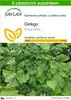 SAFLAX - ginkgo - Ginkgo biloba - 4 Semena - S pěstebním Náhled obrázku produktu 1