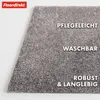 Paillasson Domenico Tapis de propreté élégant et pratique Voir les images du produit 2
