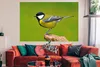 MuchoWow® Poster Vogel - Kohlmeise - Tiere - Grün 180x120 Produktbild-Vorschau 2