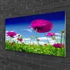 Acrylglasbilder 100x50 Wandbild Druck Wiese Blumen Natur Produktbild-Vorschau 2