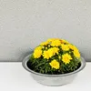 Zinkwanne Zink-Schale als runde Pflanzschale Deko-Schale Produktbild-Vorschau 5